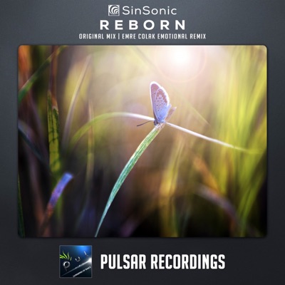Reborn - Single