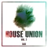 House Union, Vol. 2