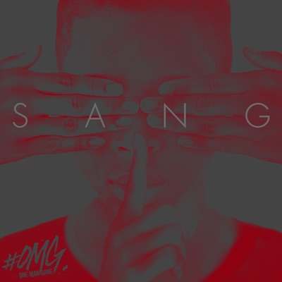 Sang (feat. Babz Wayne) - Single