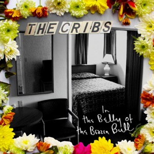 Chord Gitar Chi-town - The Cribs