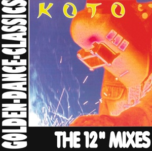 The 12" Mixes (Maxi Hits)