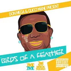 Birds of a Feather 2 - Gucci Mane