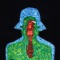 Green Ox - The Natural Curriculum lyrics