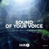 Sound of Your Voice (Nino Kattan Remix) [feat. VEGAS] - Single