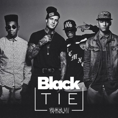 Black Tie (feat. DJ Chubby Chub) - Single