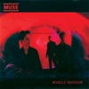 Muse