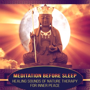 Meditation Before Sleep - Healing Sounds of Nature Therapy for Inner Peace, Yoga and Calm, Relaxing Songs to Stress Relief and Beauty Sleep