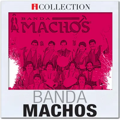 iCollection - Banda Machos