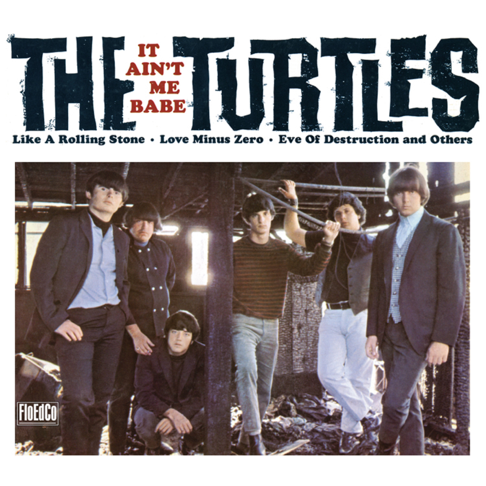 The Turtles - Apple Music