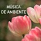 Música para Sanar el Alma - Musica Ambiental Clube lyrics