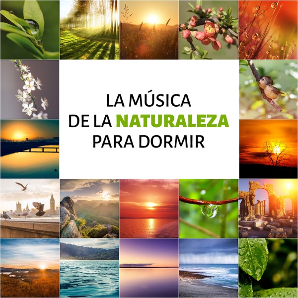 La Música de la Naturaleza para Dormir: Música Relejante para Meditar, Pensamiento Positivo y Música Instrumental como Remedios para la Ansiedad, Música de Relajacion y Serenidad