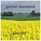 Svarte Petter - Günther Bluesband lyrics