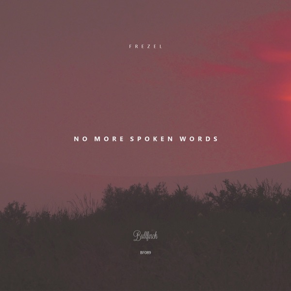 No More Spoken Words - Single