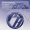 Tu Amor (Mr. Thruout Remix) - David Caetano lyrics