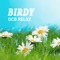 Birdy - Ocb Relax lyrics