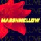 Me & Scott Walker - Marshmellow lyrics