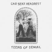 Teens of Denial artwork
