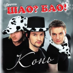 Shao? Bao! - Самба шао
