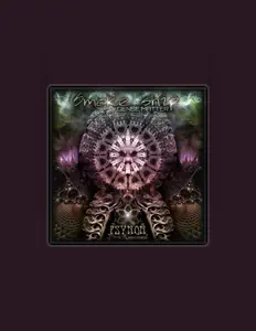 Smoke Ship सुनें, म्यूज़िक वीडियो देखें, बायो पढ़ें, दौरे की तारीखें और बहुत कुछ देखें!