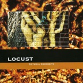 Locust - Air Secondary