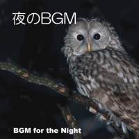 夜のBGM