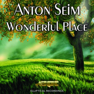 Wonderful Place - Single