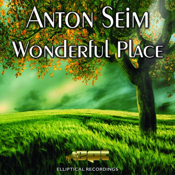 Wonderful Place - Single