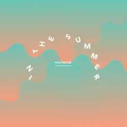 In the Summer - Single - HalfNoise