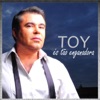Toy - És Tão Enganadora