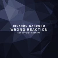 Wrong Reaction - Single - Ricardo Garduno