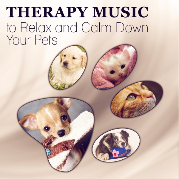 Therapy Music to Relax and Calm Down Your Pets