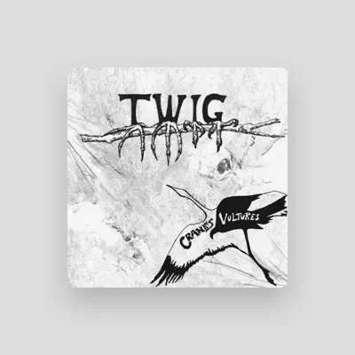 Listen to Cranes/Vultures, watch music videos, read bio, see tour dates & more!