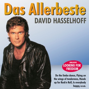 David Hasselhoff - Do the Limbo Dance - 排舞 音乐