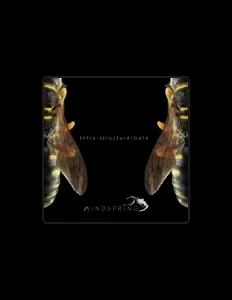 Escucha a Gal.k, mira vídeos musicales, lee la biografía, consulta fechas de giras y mucho más.