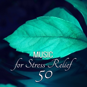 Music for Stress Relief 50: New Age Relaxation Moments & Calming Sounds, Therapy of Senses, Serenity, Wellness Music, Harmony Body & Soul, Stress Management