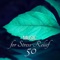 Oasis of Meditation, Mystical Celt Harp - Sound of Nature Library lyrics