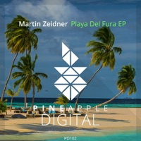 Playa Del Fura - Single - Martin Zeidner