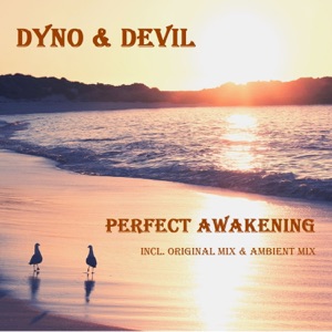 Perfect Awakening - Single
