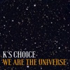 Icon We Are the Universe - Single
