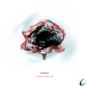 Clear Conceptions 26 - Single