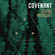 Sound Mirrors - Covenant