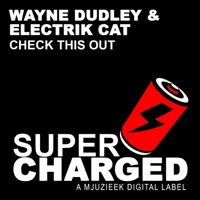 Check This Out - Single - Wayne Dudley & Electrik Cat