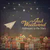 Josh Woodward - After the Flames