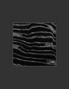 收听 Brian F、观看音乐视频、阅读小传、查看巡演日期等 ！