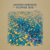 Anders Osborne - Fools Gold