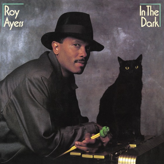 Cover artwork for In the Dark