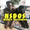 NSDOS