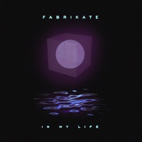 In My Life - Single - fabrikate