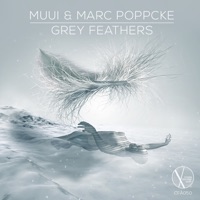 Grey Feathers - Single - MUUI & Marc Poppcke