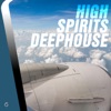 High Spirits Deephouse, 2015